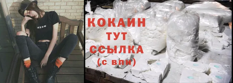 закладка  блэк спрут как зайти  Cocaine 99%  Нижняя Тура 