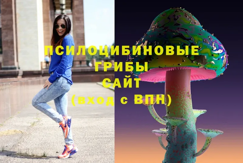 Псилоцибиновые грибы Magic Shrooms  Нижняя Тура 